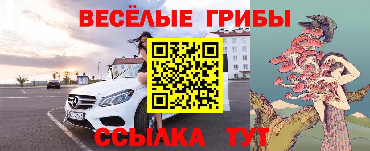 Гусев  Галлюциногенные грибы MAGIC MUSHROOMS  Вход с VPN  Псилоцибиновые грибы Psilocybe 